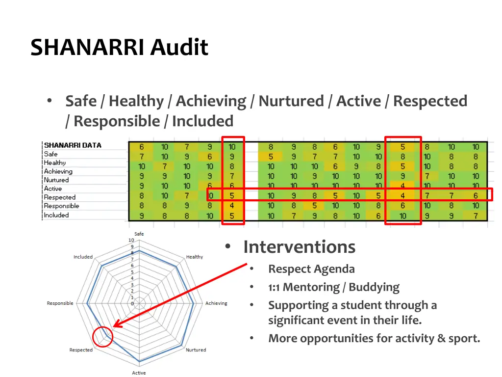 shanarri audit 1