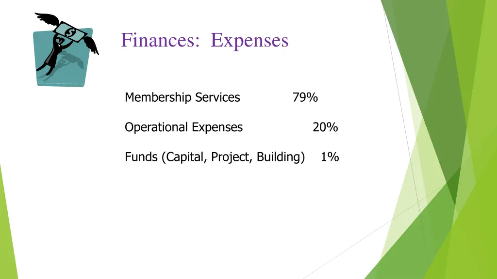 finances expenses