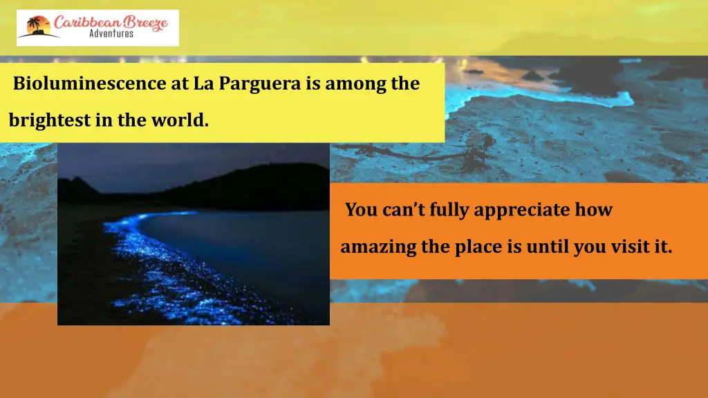 bioluminescence at la parguera is among the