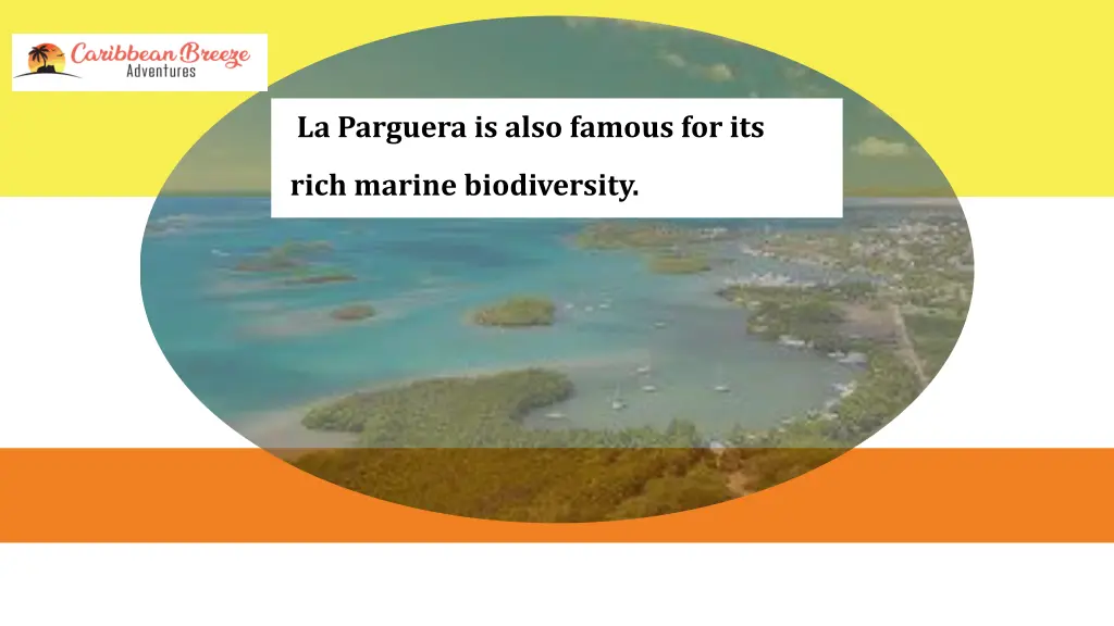 la parguera is also famous for its