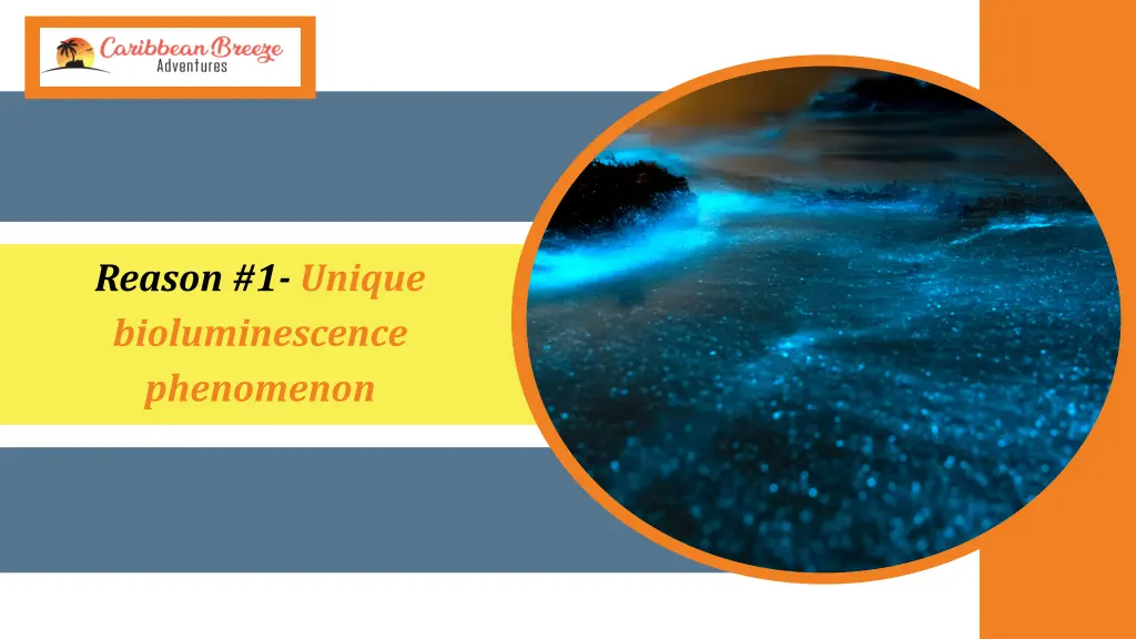 reason 1 unique bioluminescence phenomenon