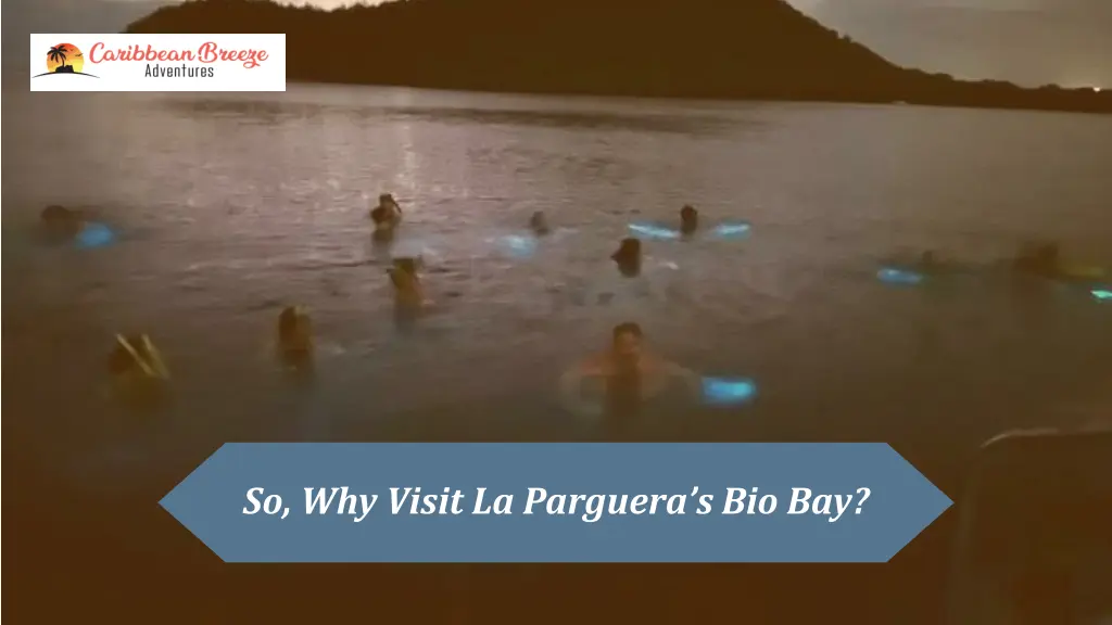 so why visit la parguera s bio bay