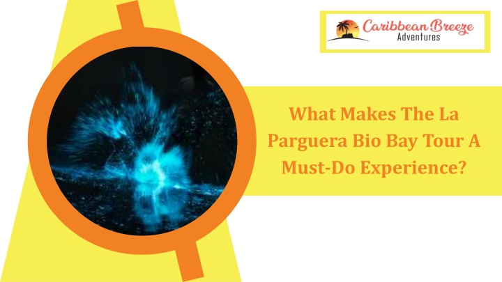 what makes the la parguera bio bay tour a must