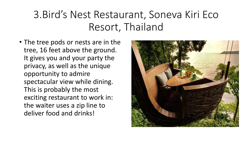 3 bird s nest restaurant soneva kiri eco resort