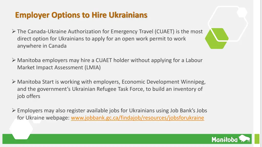 employer options to hire ukrainians