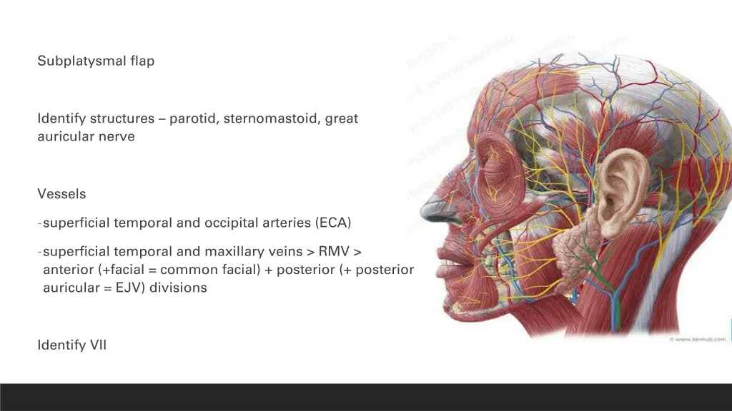 subplatysmal flap