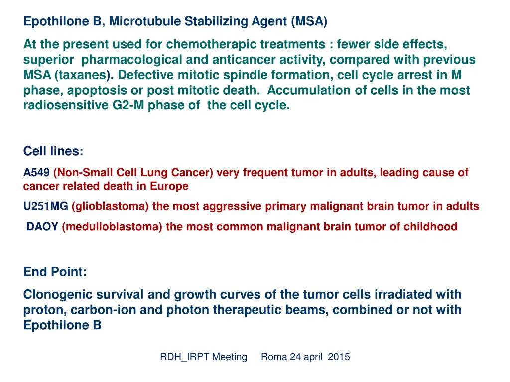 epothilone b microtubule stabilizing agent msa