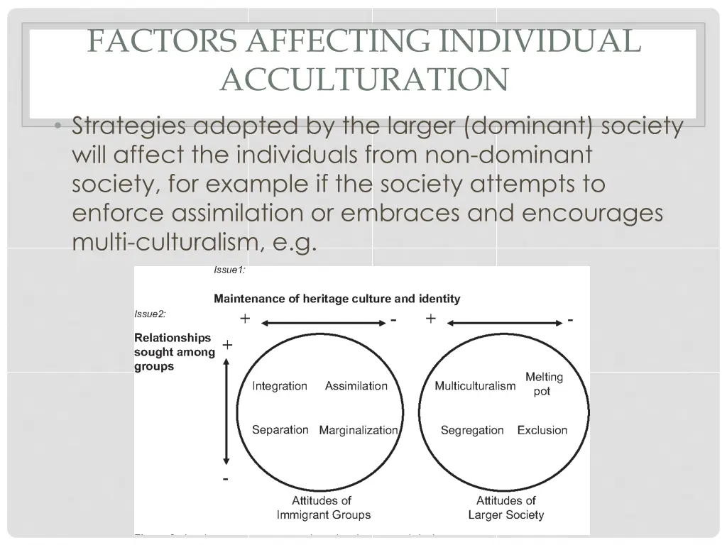 factors affecting individual acculturation