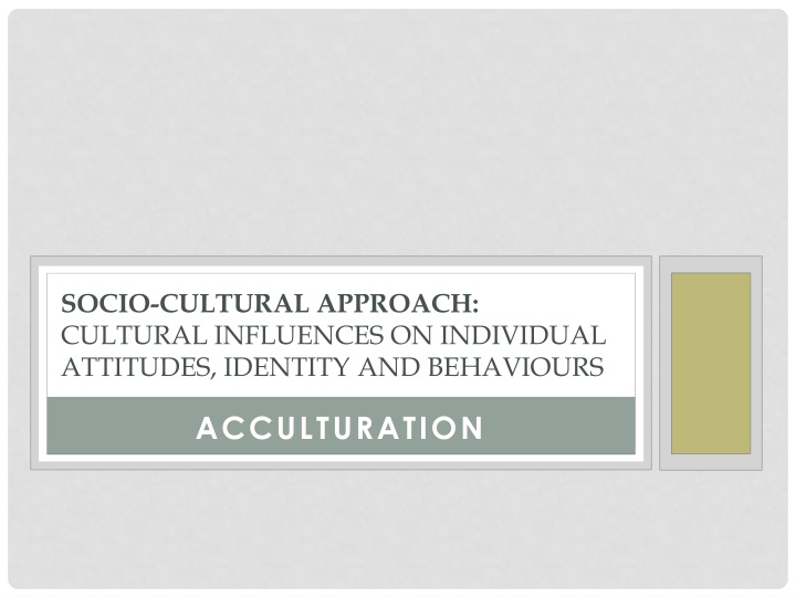 socio cultural approach cultural influences