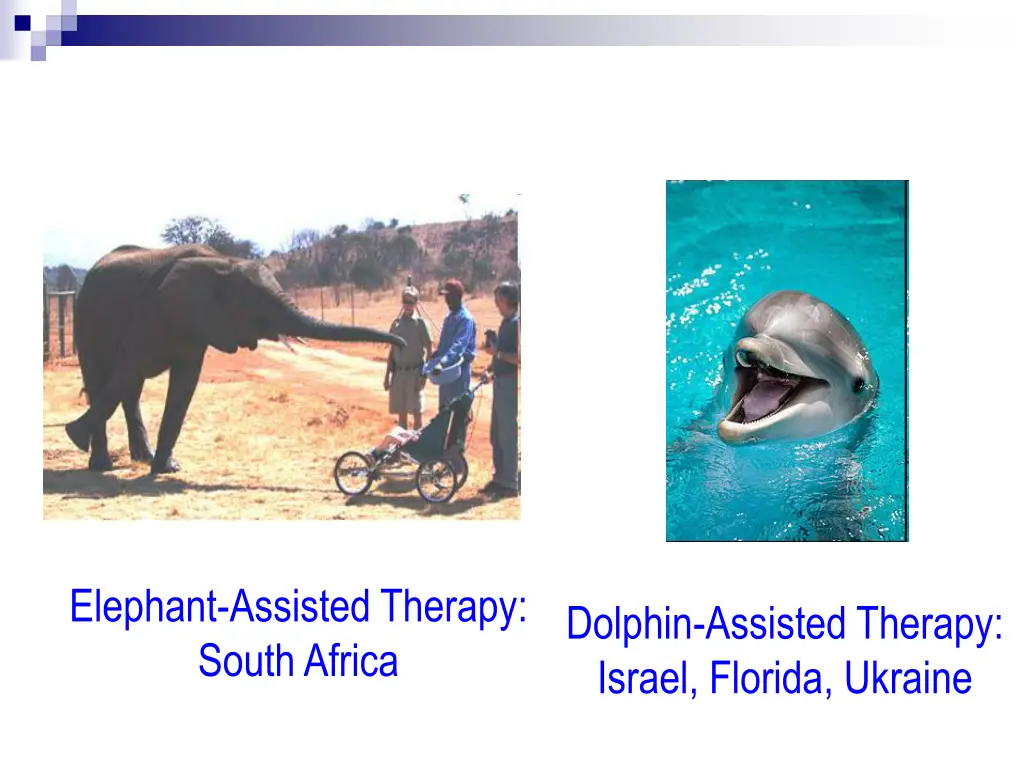 elephant assisted therapy south africa