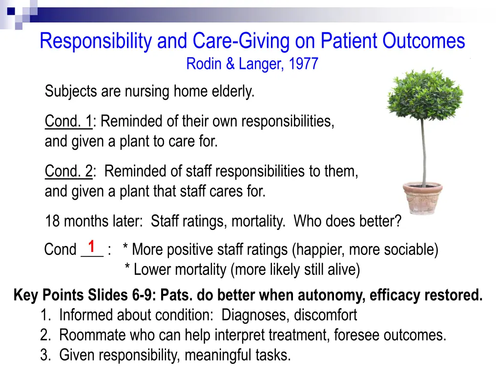 responsibility and care giving on patient