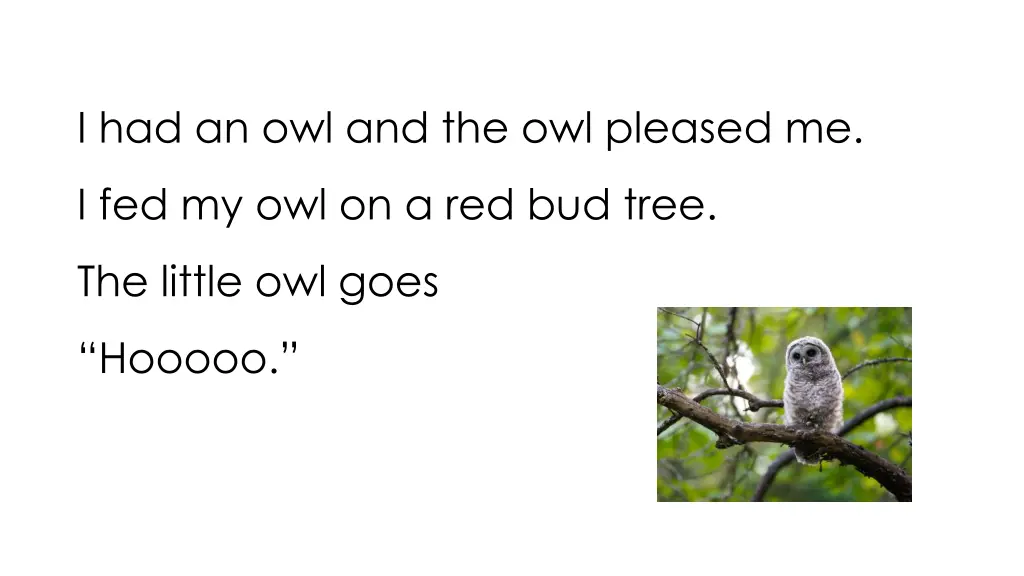 i had an owl and the owl pleased me