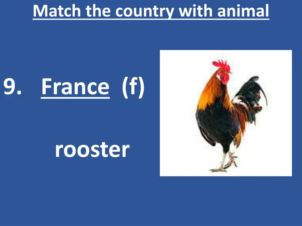 match the country with animal 10