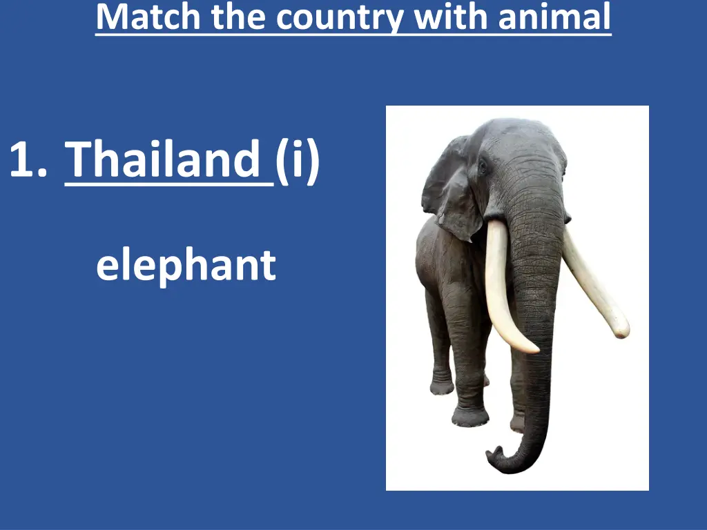 match the country with animal 2