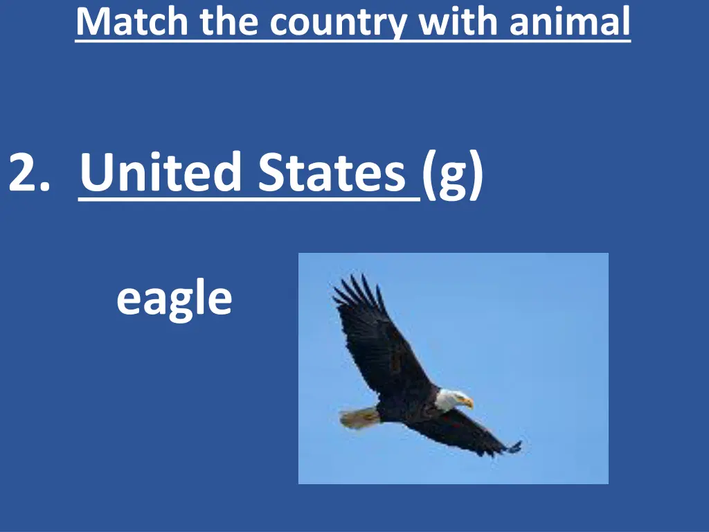 match the country with animal 3