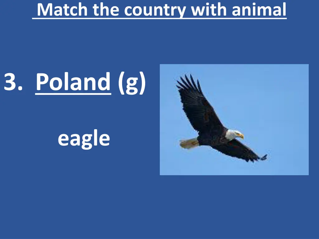 match the country with animal 4