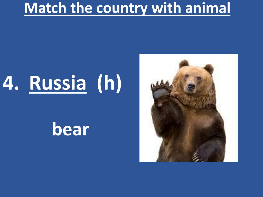 match the country with animal 5