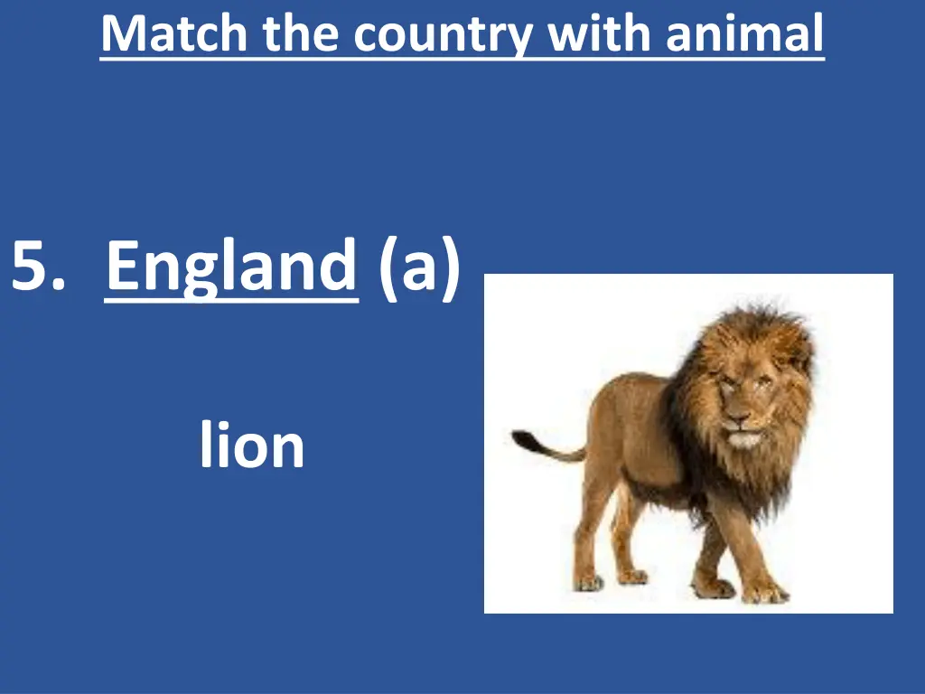 match the country with animal 6