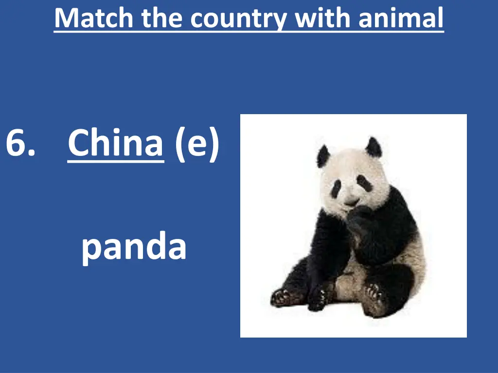 match the country with animal 7