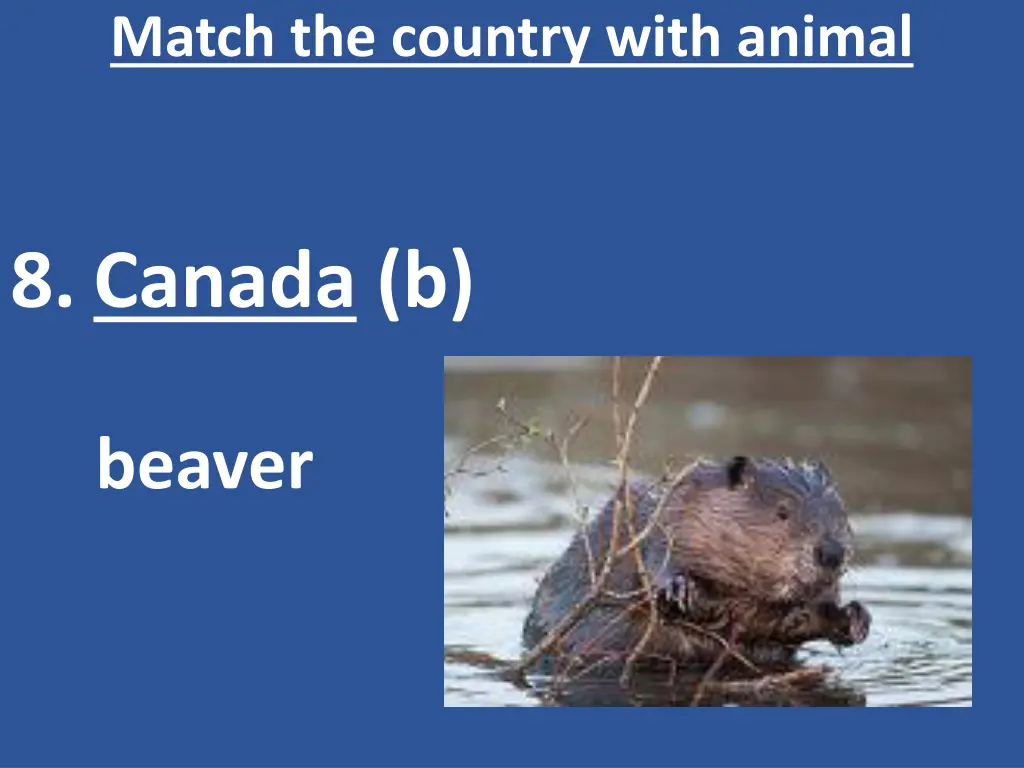 match the country with animal 9