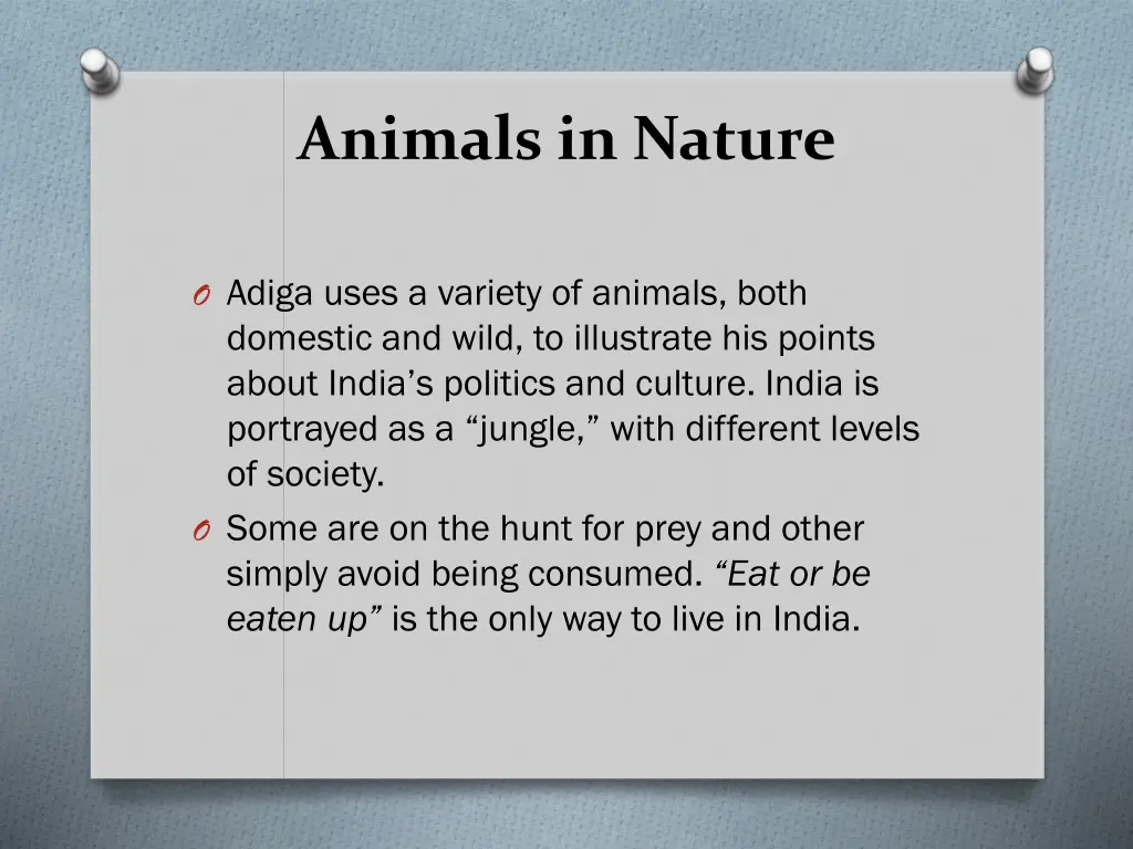 animals in nature