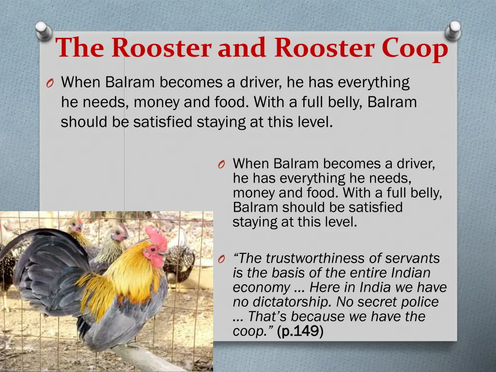 the rooster and rooster coop 1