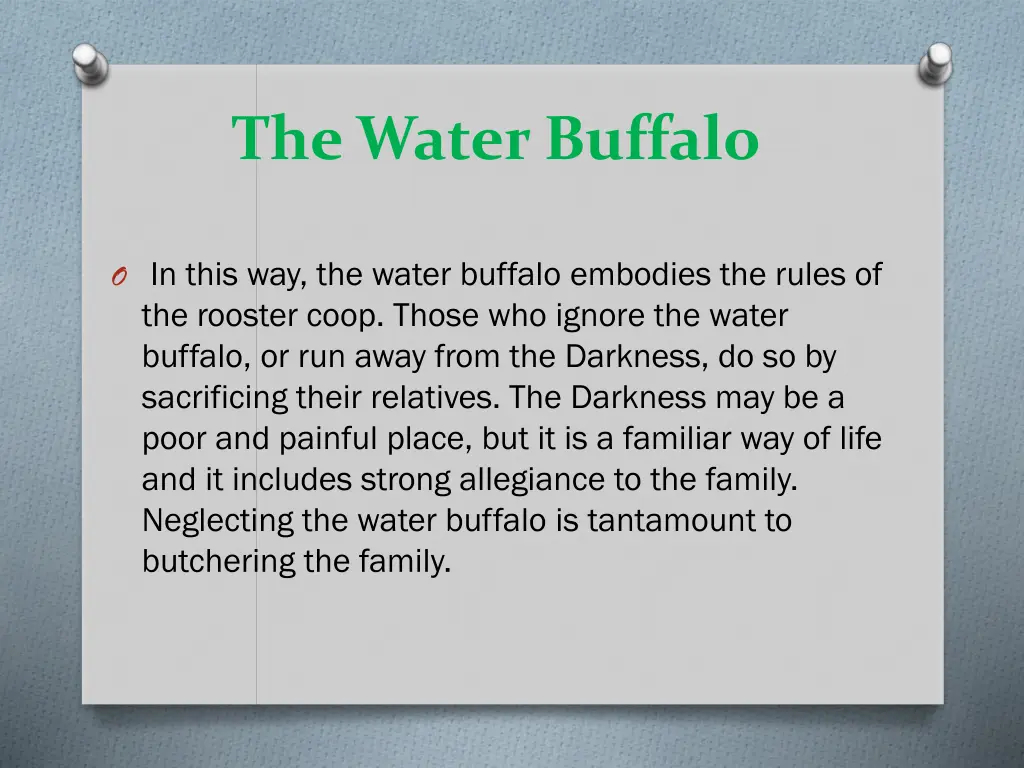 the water buffalo 1