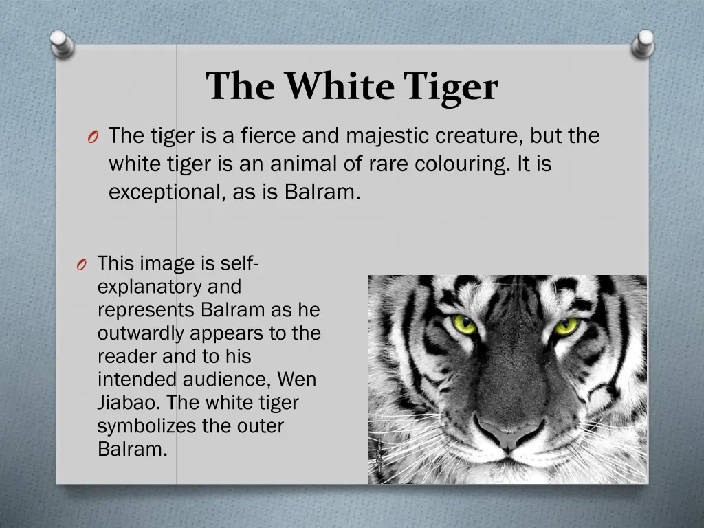 the white tiger 1