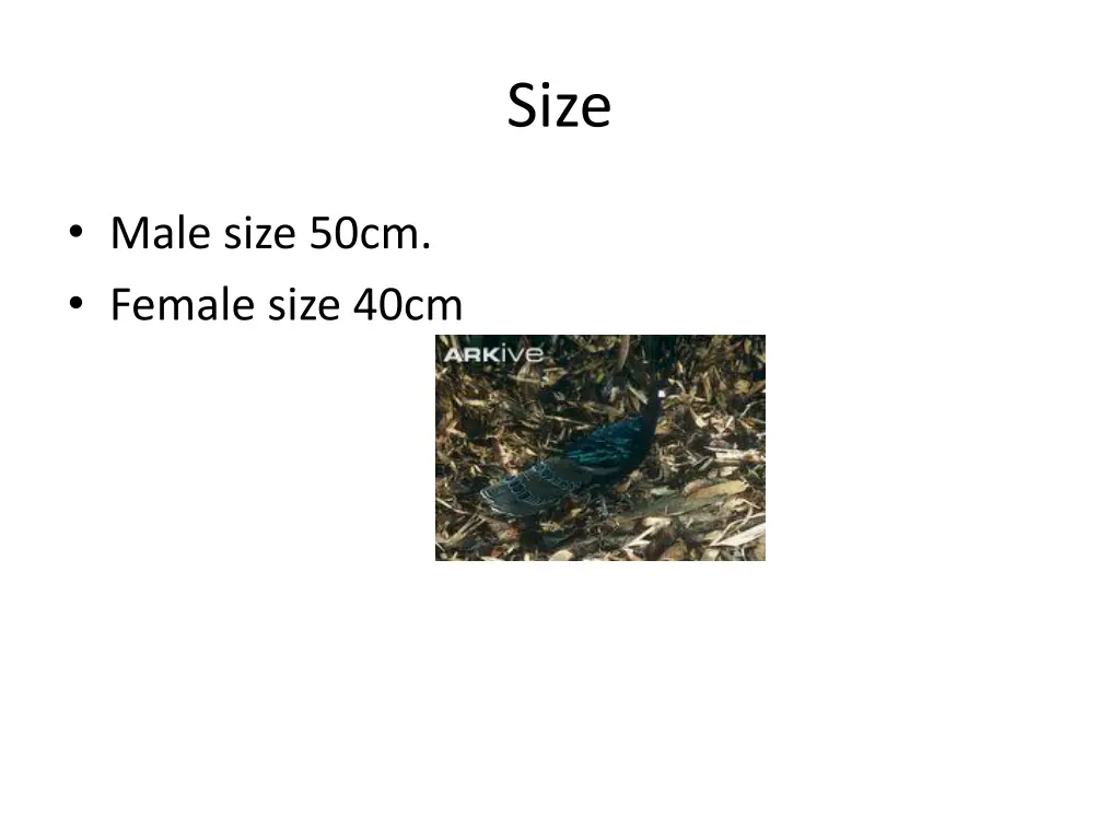 slide5