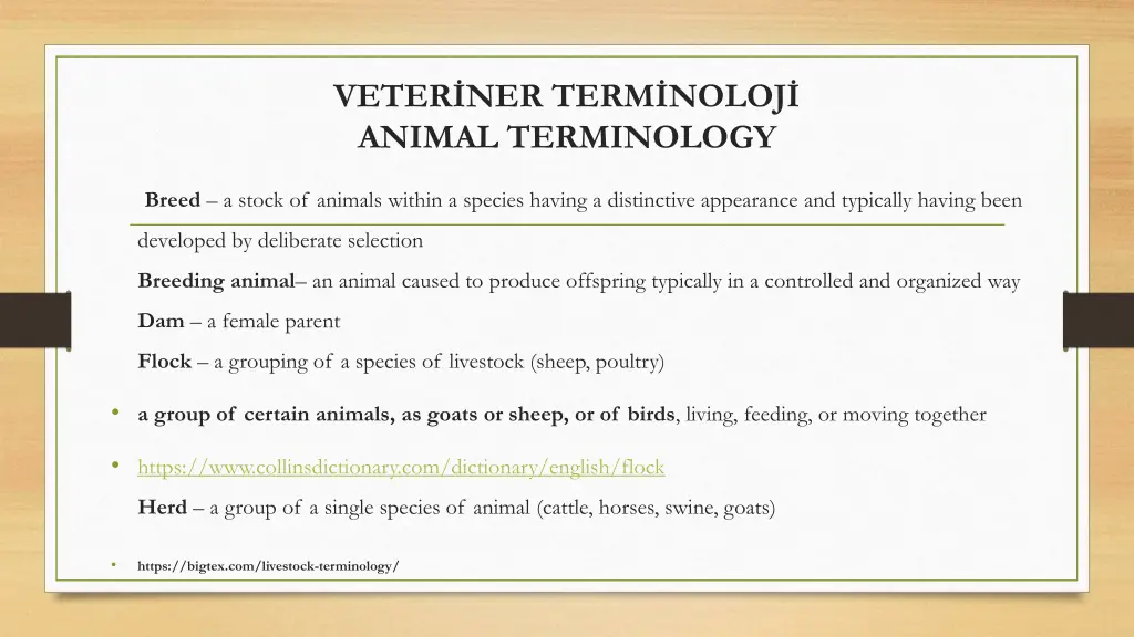 veter ner term noloj animal terminology