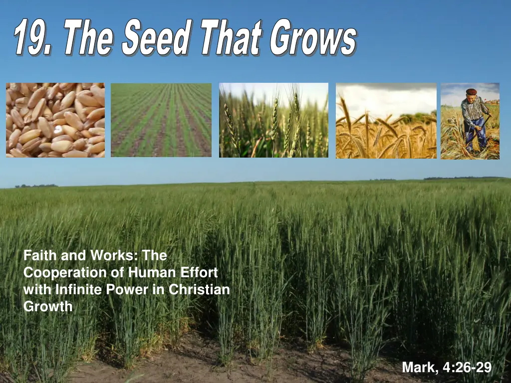 19 the seed that grows 19 the seed that grows