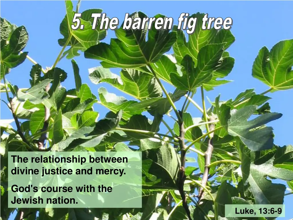 5 the barren fig tree 5 the barren fig tree