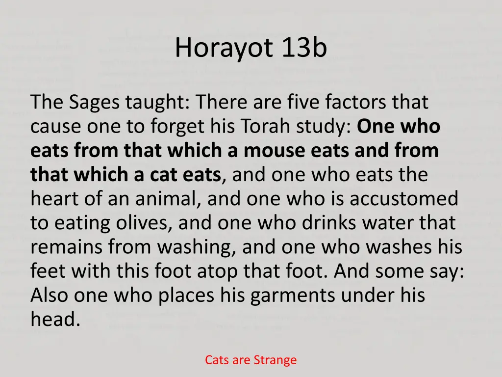 horayot 13b