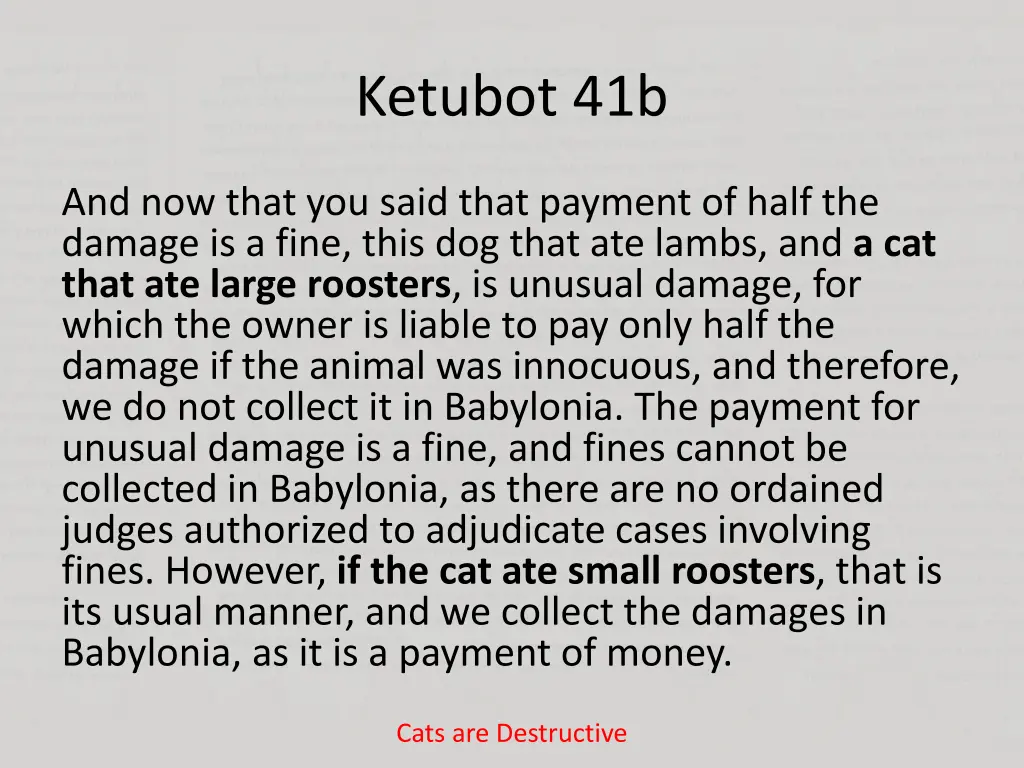 ketubot 41b