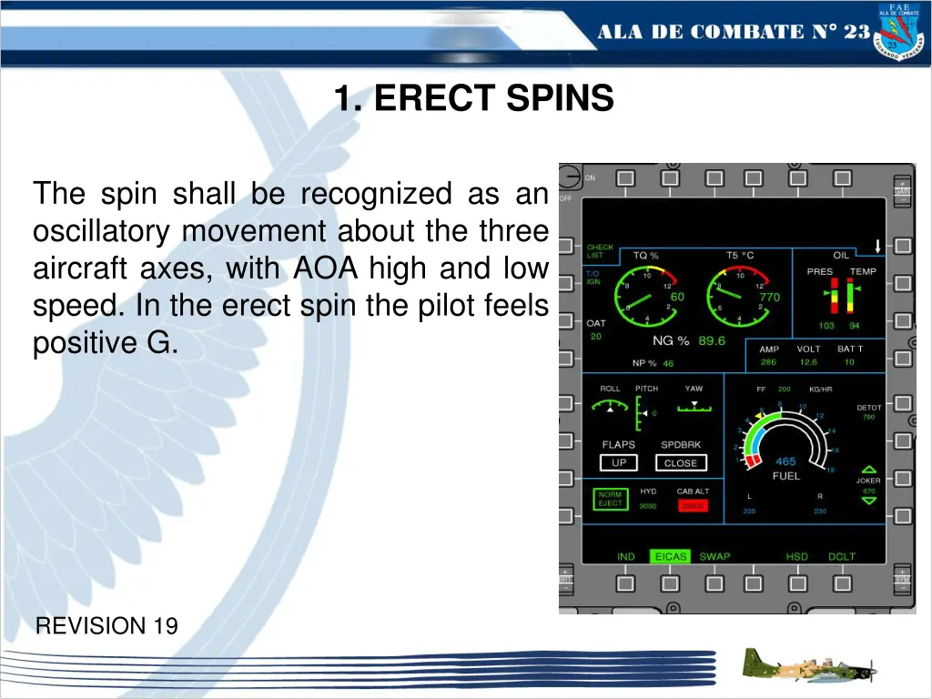 1 erect spins