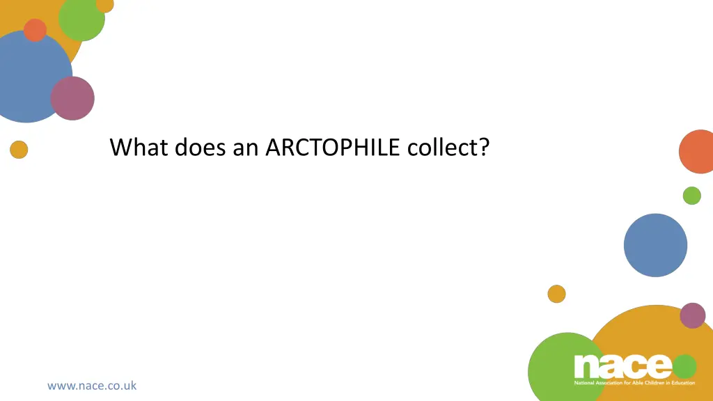 what does an arctophile collect