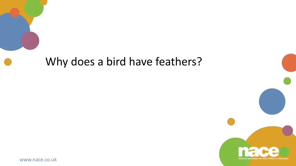 why does a bird have feathers