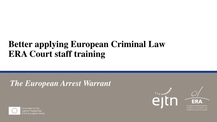 better applying european criminal law era court