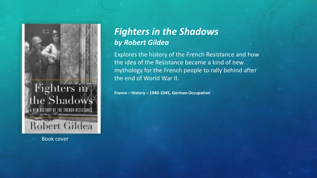 fighters in the shadows by robert gildea