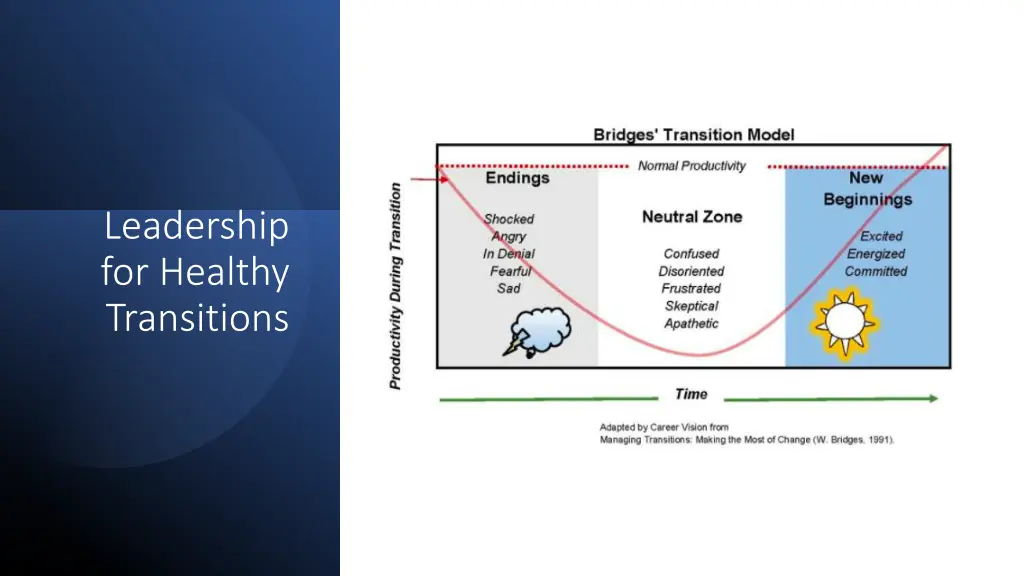 leadership for healthy transitions