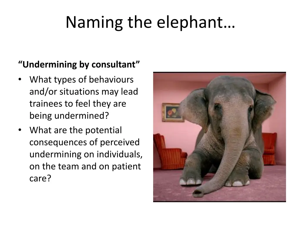 naming the elephant