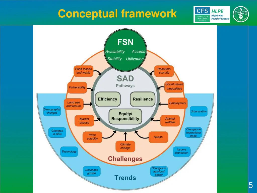 conceptual framework