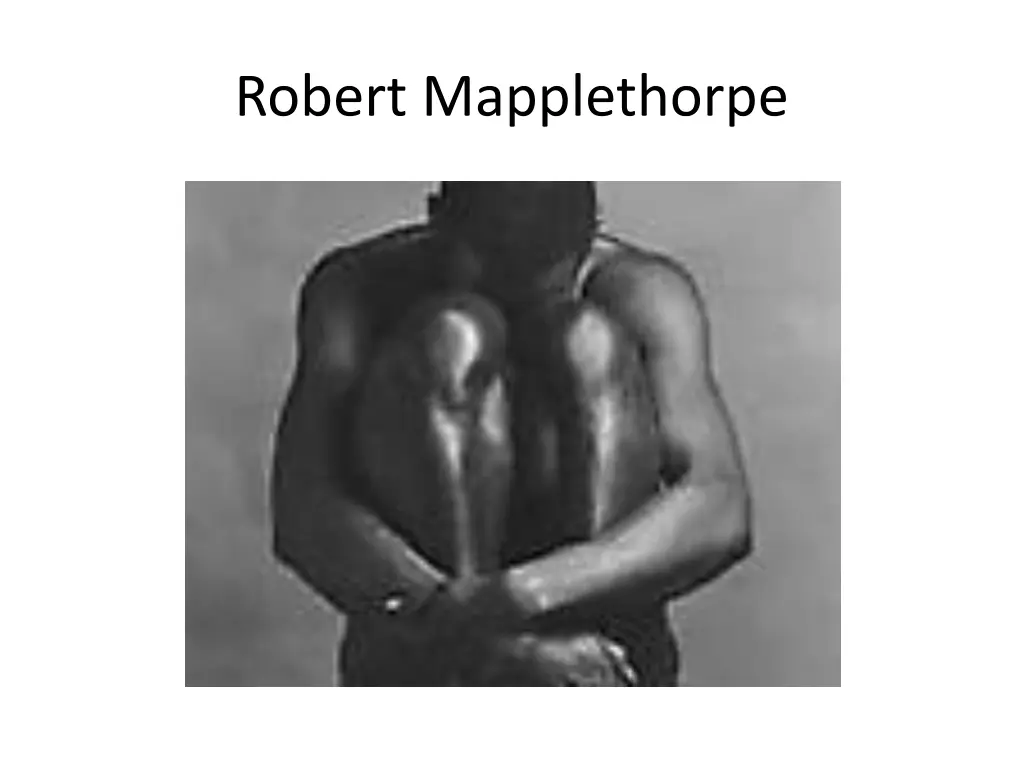 robert mapplethorpe