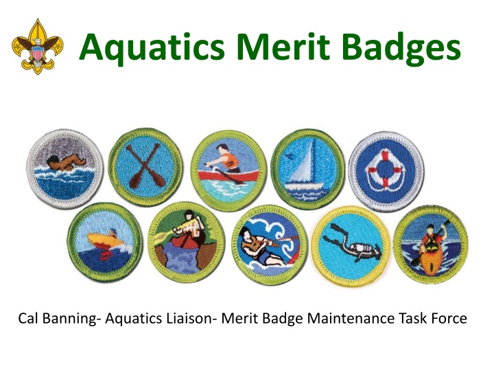 aquatics merit badges