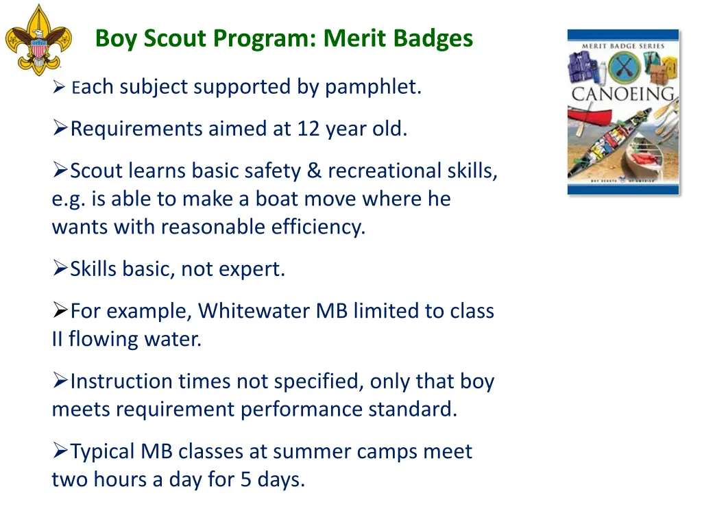 boy scout program merit badges