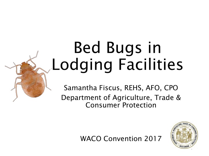 bed bugs in lodging facilities