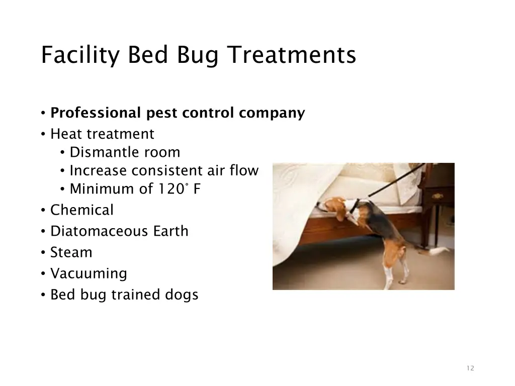 facility bed bug treatments