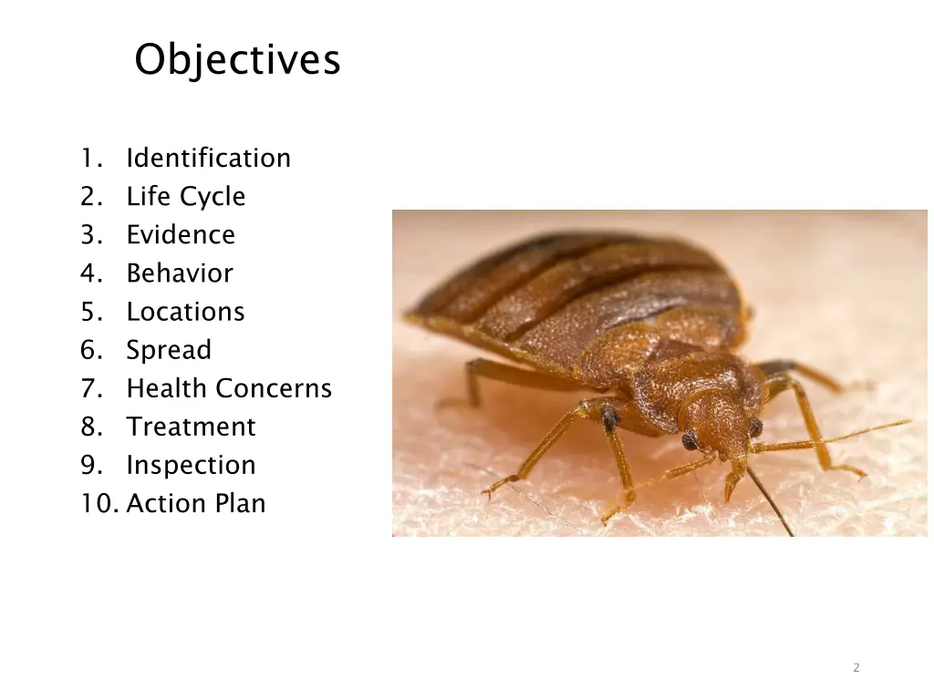 objectives