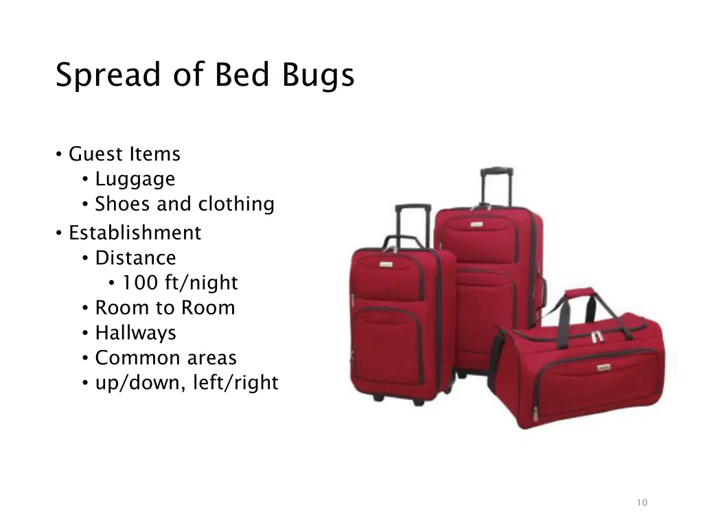 spread of bed bugs