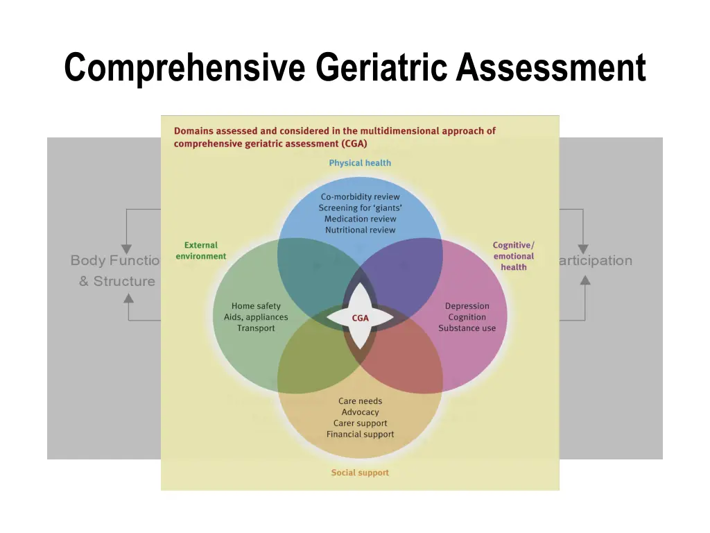 comprehensive geriatric assessment